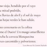 descubre las mejores frases cortas de rosalia de castro en gallego una dosis de poesia para tu alma