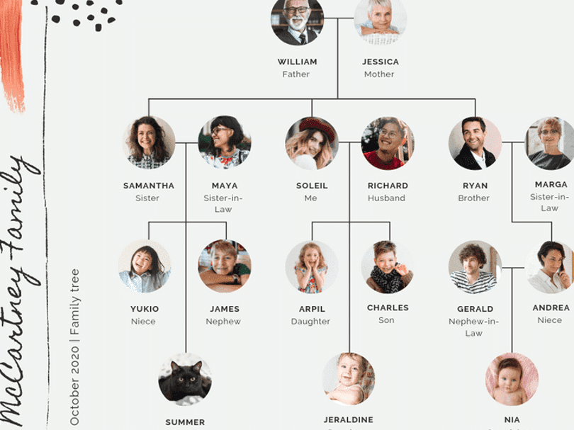 descubre las mejores frases del arbol genealogico para conocer tus raices familiares