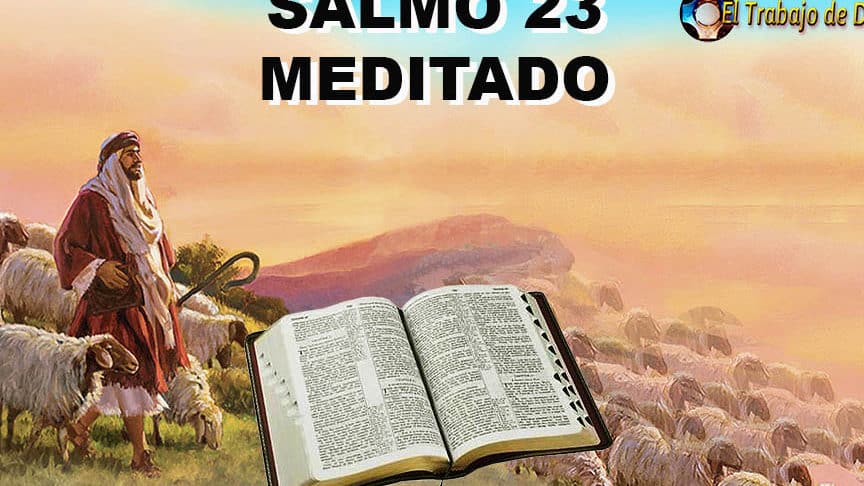 las mas hermosas frases del salmo 23 encuentra paz y fortaleza en sus palabras