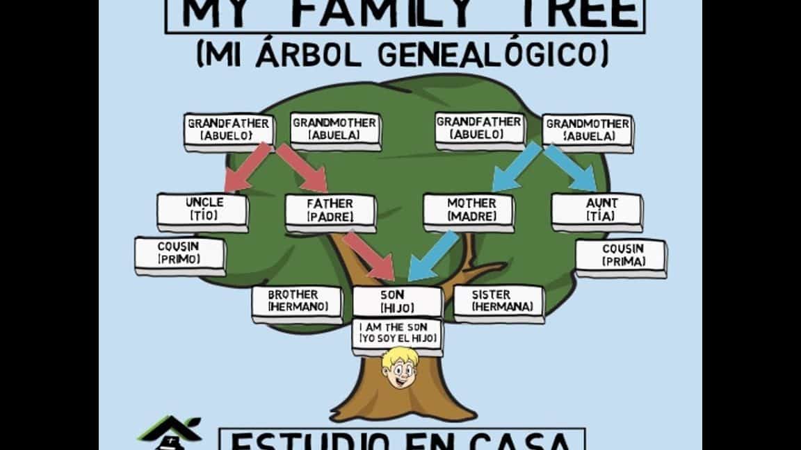 descubre las mejores frases del arbol genealogico y conecta con tus raices familiares