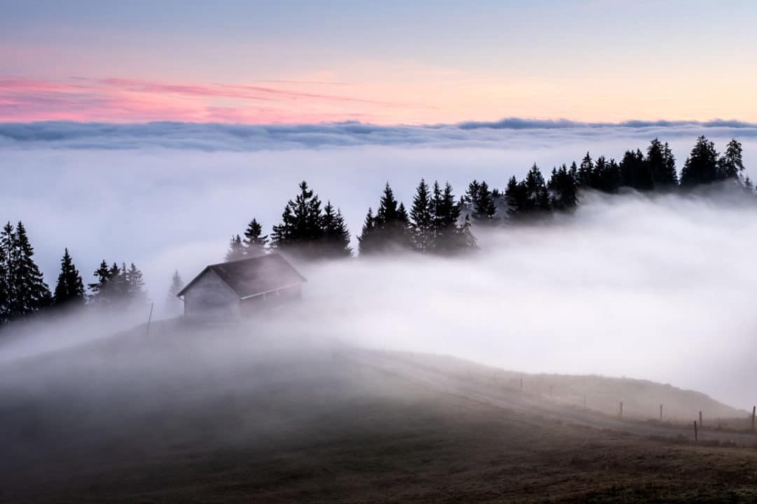 descubre las mejores frases sobre la misteriosa belleza de la niebla
