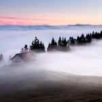 descubre las mejores frases sobre la misteriosa belleza de la niebla