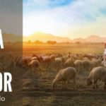 las mejores frases para agradecer y honrar a tus pastores