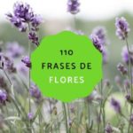 48 frases inspiradoras para acompanar tus fotos de flores en instagram