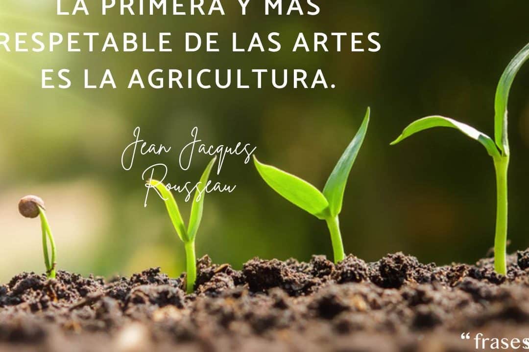 50 frases inspiradoras para agricultores y amantes del campo