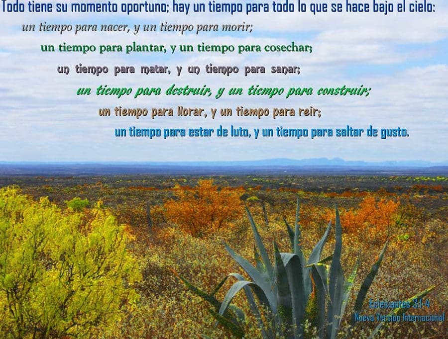 descubre 30 bienaventuradas frases inspiracion y sabiduria en espanol