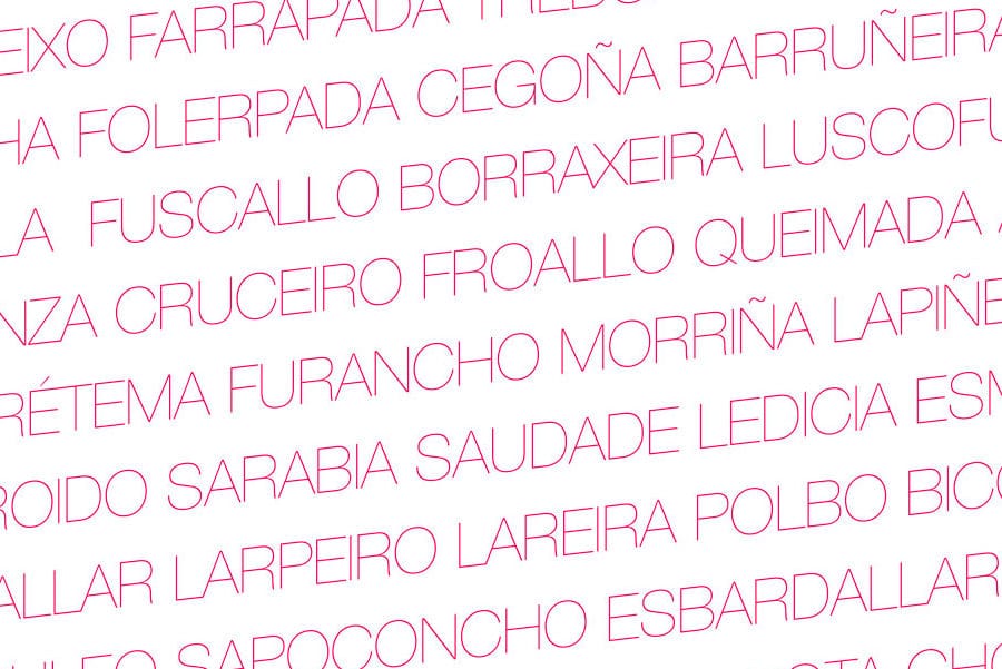 descubre las 36 mejores frases en galego una muestra de la hermosa lengua gallega