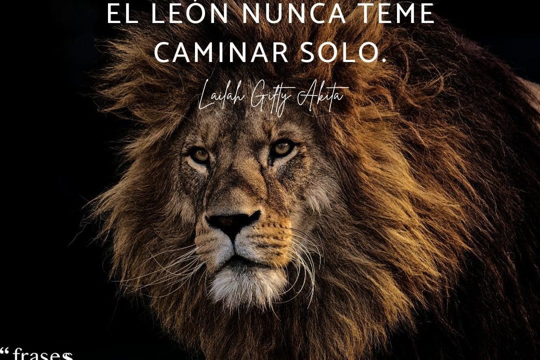 31 leones frases cortas inspiradoras citas sobre la fuerza y valentia de los reyes de la selva