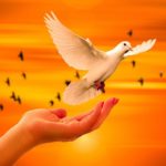 32 frases de serenidad para encontrar la paz interior