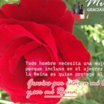 33 frases hermosas para inspirarte al regalar flores a una mujer