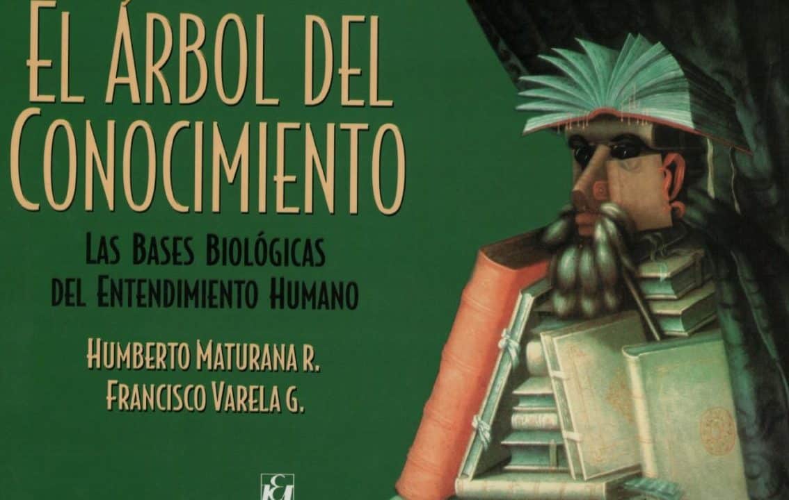 41 frases de amor de humberto maturana descubre el pensamiento del renombrado biologo chileno
