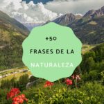 42 frases inspiradoras del campo agricultor que te conectaran con la naturaleza