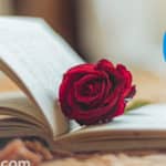 44 frases inspiradoras para fomentar el amor por la lectura en los jovenes