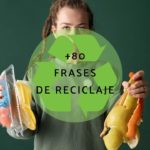 47 frases impactantes para reducir el uso de plastico y salvar el planeta