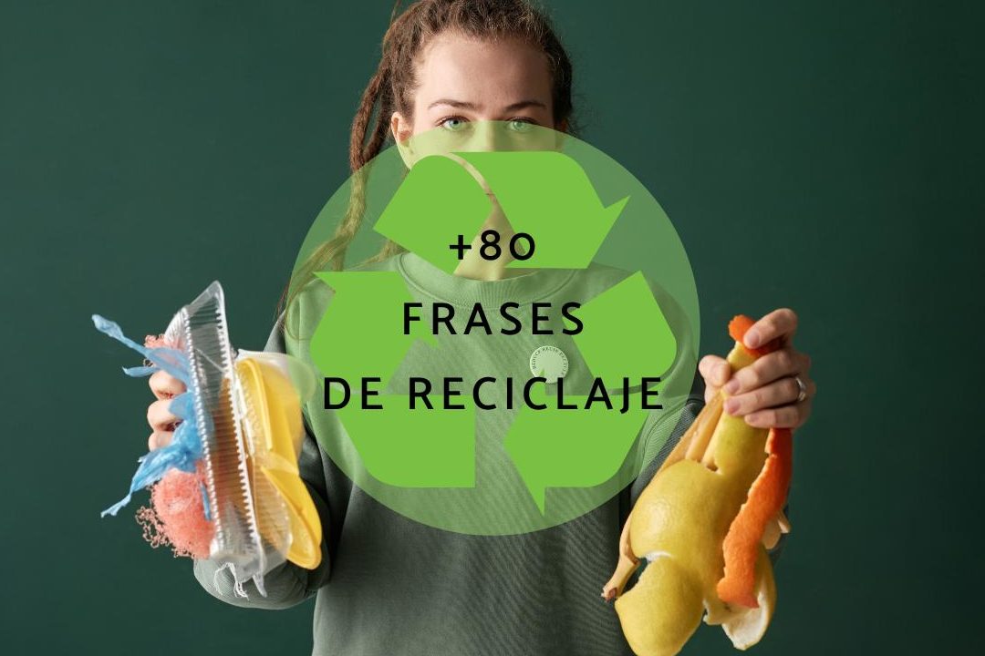 47 frases impactantes para reducir el uso de plastico y salvar el planeta
