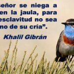 34 frases de gibran khalil gibran inspiracion y sabiduria en palabras