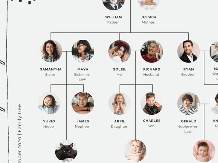 32 impactantes frases para arbol genealogico descubre tu legado familiar