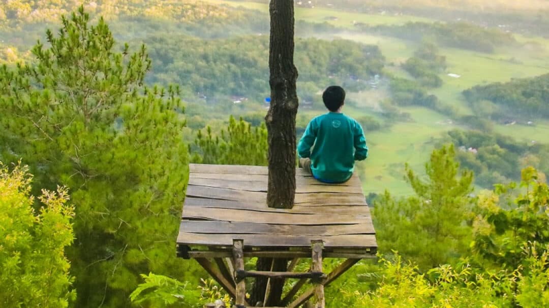 50 frases de paz mental encuentra la armonia y tranquilidad en tu vida